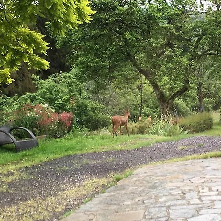 Perche Dans Les Montagnes Du Mont-saint-michel *