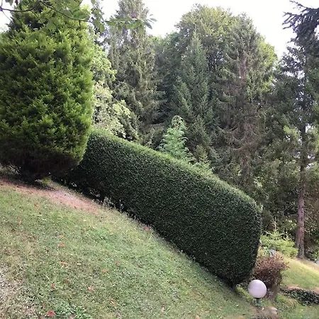Perche Dans Les Montagnes Du Mont-saint-michel