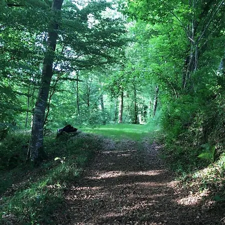 Perche Dans Les Montagnes Du Mont-saint-michel * Beauficel