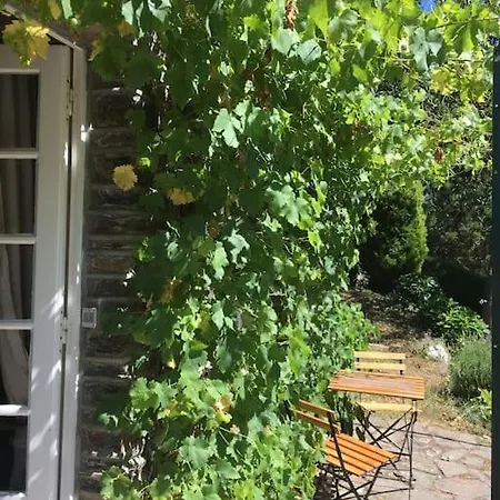 Perche Dans Les Montagnes Du Mont-saint-michel *