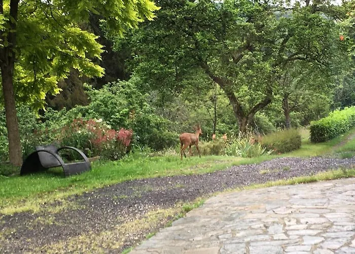 Perché Dans Les Montagnes Du Mont-saint-michel *
