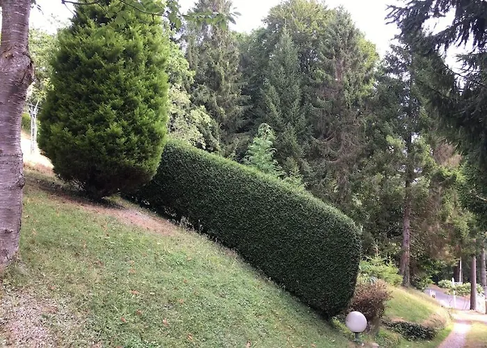 Perché Dans Les Montagnes Du Mont-saint-michel