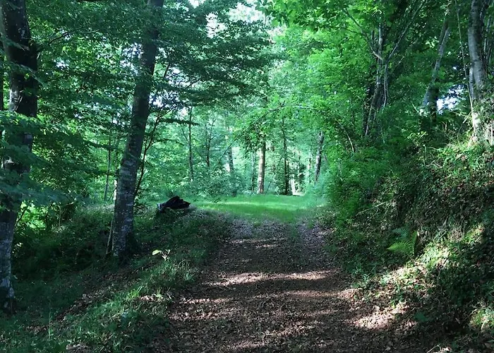 Perché Dans Les Montagnes Du Mont-saint-michel * Beauficel